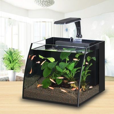 30厘米的小魚缸怎么造景：30厘米小魚缸的幾種造景方法