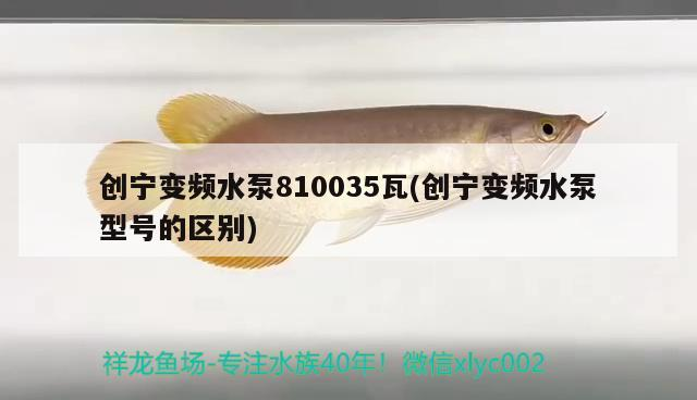 創(chuàng)寧變頻水泵810035瓦(創(chuàng)寧變頻水泵型號的區(qū)別)