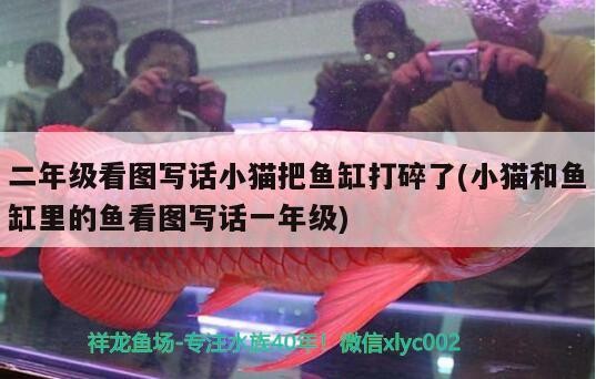 創(chuàng)寧加熱棒質(zhì)量怎么樣呀多少錢：創(chuàng)寧加熱棒是哪里生產(chǎn)的