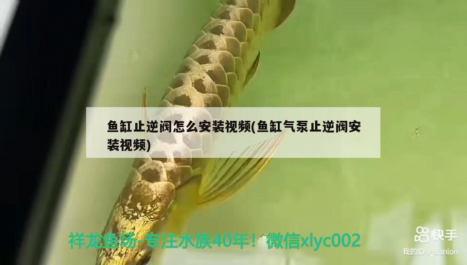 創(chuàng)寧加熱棒質(zhì)量怎么樣呀多少錢：創(chuàng)寧加熱棒是哪里生產(chǎn)的