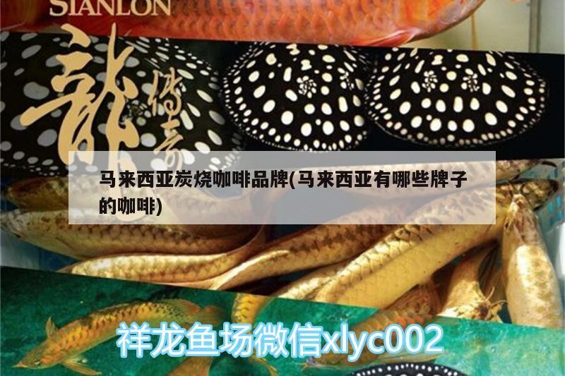 鸚鵡魚和銀龍魚混養怎樣喂食 馬來西亞炭燒咖啡品牌(馬來西亞有哪些牌子的咖啡) 馬來西亞咖啡 馬來西亞炭燒咖啡品牌(馬來西亞有哪些牌子的咖啡) 馬來西亞炭燒咖啡品牌(馬來西亞有哪些牌子的咖啡) 馬來西亞咖啡