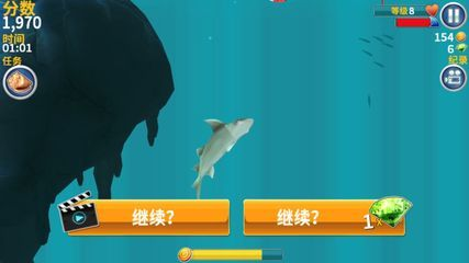藍(lán)寶石鬼王雷龍魚能長多大：鬼王藍(lán)寶石雷龍魚怎么養(yǎng) 藍(lán)寶石鬼王雷龍魚能長多大：鬼王藍(lán)寶石雷龍魚怎么養(yǎng) 水族問答 第3張