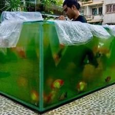 1.2米魚缸適合養什么魚皮實的：1.2米的魚缸適合養什么魚 1.2米魚缸適合養什么魚皮實的：1.2米的魚缸適合養什么魚 魚缸百科 第2張