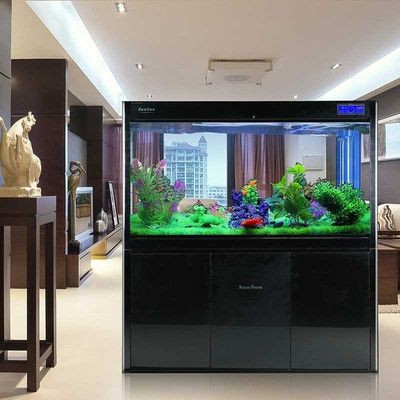 大魚缸養小熱帶魚效果圖：熱帶魚如何養殖？