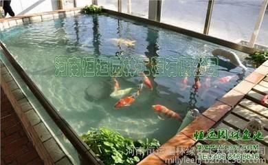 打氣筒給魚缸打氧：使用打氣筒給魚缸打氧時需要了解魚缸增氧的原理和方法