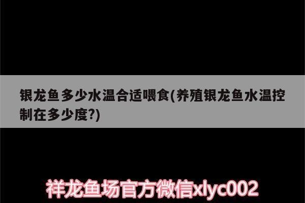 銀龍魚多少水溫合適喂食(養殖銀龍魚水溫控制在多少度?)