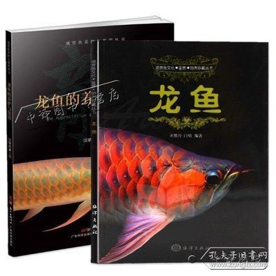 養(yǎng)龍魚的技術(shù)知識講解