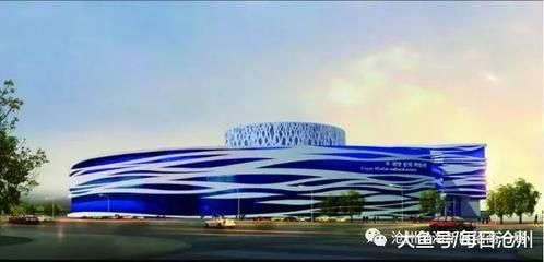 滄州水族館vs祥龍魚場（滄州地區(qū)的水族館和祥龍魚場對比分析）