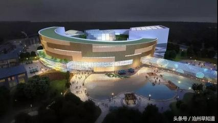 滄州水族館vs祥龍魚場（滄州地區(qū)的水族館和祥龍魚場對比分析）