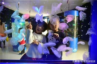 肇慶水族館vs祥龍魚場（探討肇慶水族館與祥龍魚場之前需要明確兩者之間的區(qū)別）