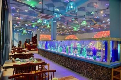 肇慶水族館vs祥龍魚場（探討肇慶水族館與祥龍魚場之前需要明確兩者之間的區(qū)別）