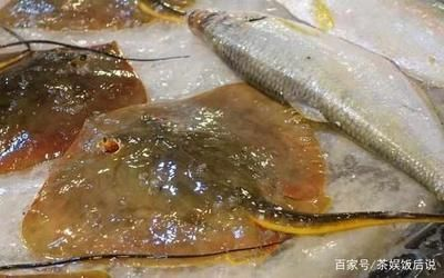 魟魚為什么不飛魚的原因：魟魚為什么不適合像飛魚那樣在空中飛翔以下幾個主要原因