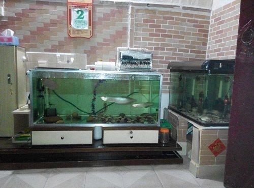 森森魚缸下水聲音調節球閥怎么調整