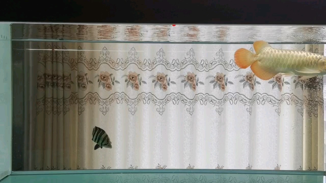 冒個泡大神們勿噴[摳鼻]