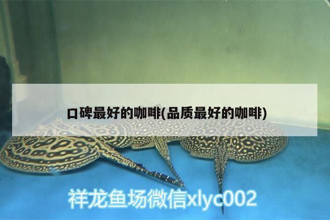 口碑最好的咖啡(品質最好的咖啡)