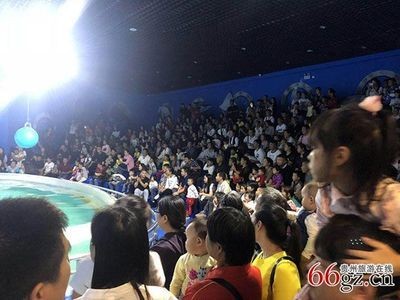 銅仁水族館vs祥龍魚場（貴州銅仁水族館和祥龍魚場在性質(zhì)和目標(biāo)上有所不同）