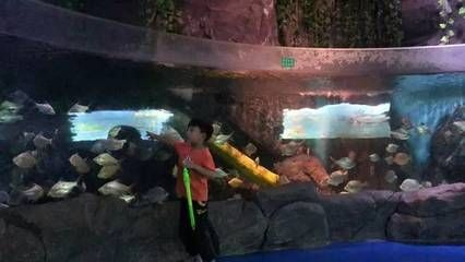 銅仁水族館vs祥龍魚場（貴州銅仁水族館和祥龍魚場在性質(zhì)和目標(biāo)上有所不同）