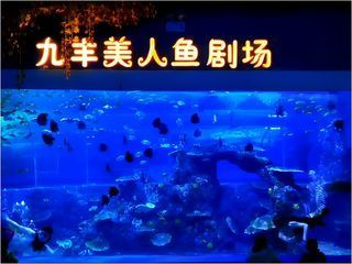 銅仁水族館vs祥龍魚場（貴州銅仁水族館和祥龍魚場在性質(zhì)和目標(biāo)上有所不同）