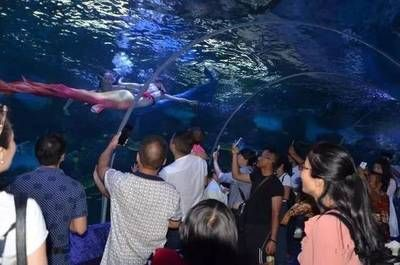 銅仁水族館vs祥龍魚場（貴州銅仁水族館和祥龍魚場在性質(zhì)和目標(biāo)上有所不同）