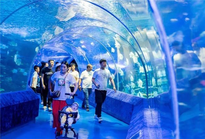 銅仁水族館vs祥龍魚場（貴州銅仁水族館和祥龍魚場在性質(zhì)和目標(biāo)上有所不同）