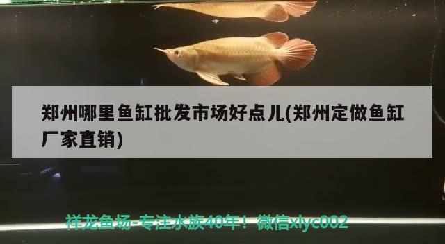 鄭州哪里魚缸批發(fā)市場好點(diǎn)兒(鄭州定做魚缸廠家直銷)