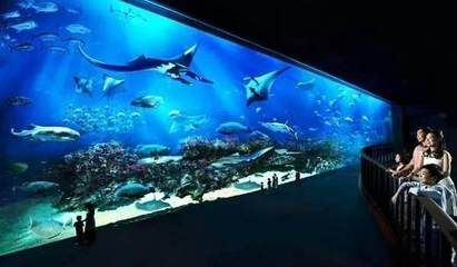 清遠水族館vs祥龍魚場（探討清遠水族館與祥龍魚場之間的差異之前需要明確兩者的基本信息和業務范圍）