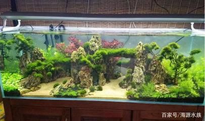 1.5米魚缸造景教程圖：1.5米魚缸造景教程圖片教程 1.5米魚缸造景教程圖：1.5米魚缸造景教程圖片教程 魚缸百科 第1張