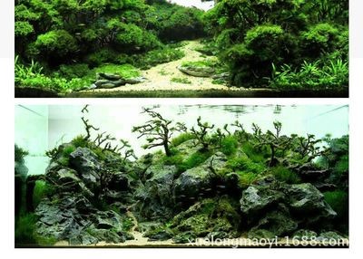 1.5米魚缸造景教程圖：1.5米魚缸造景教程圖片教程 1.5米魚缸造景教程圖：1.5米魚缸造景教程圖片教程 魚缸百科 第3張