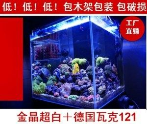 包裝一個魚缸大概需要多少錢呢：包裝一個魚缸的費用時需要考慮到以下幾個方面