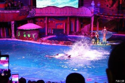盤錦水族館vs祥龍魚場（盤錦水族館和祥龍魚場哪個好）