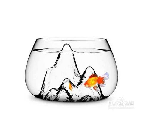 別人家的舊魚缸可以用嗎：別人家的舊魚缸可以用嗎？ 別人家的舊魚缸可以用嗎：別人家的舊魚缸可以用嗎？ 魚缸百科 第3張
