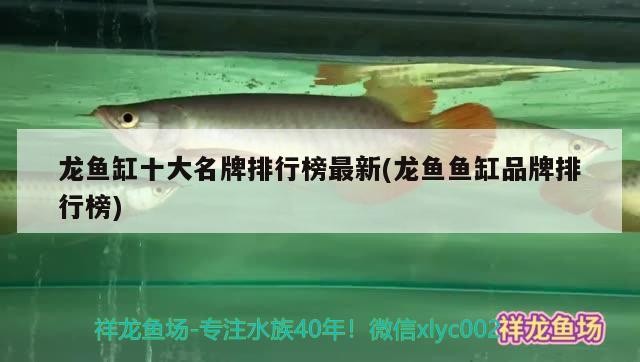 鄭州魚缸批發市場電話號碼查詢（鄭州魚缸批發市場電話號碼查詢地址）