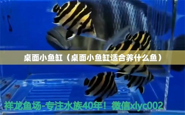 魚缸凈水系統
