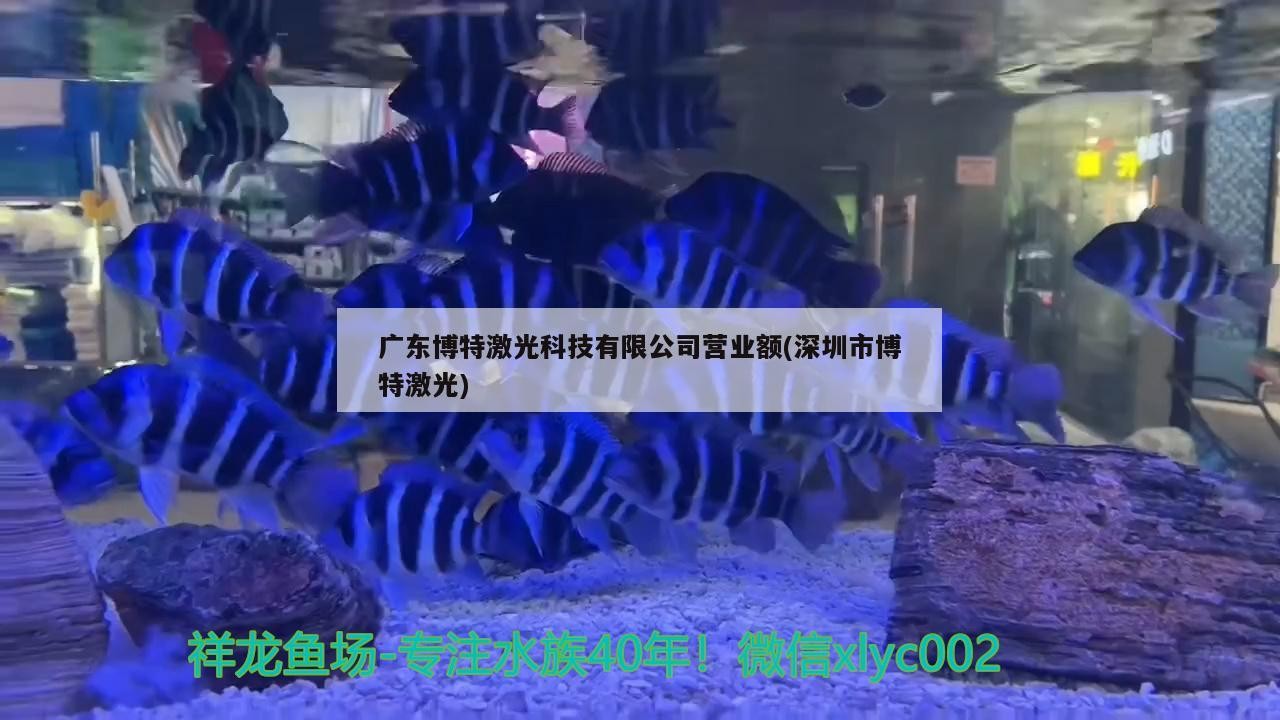 廣東博特激光科技有限公司營業額(深圳市博特激光)