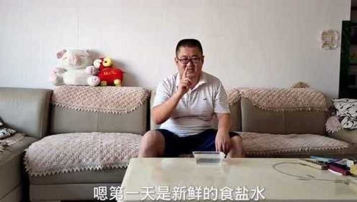 魟魚拉的白色絮狀是什么 魟魚拉的白色絮狀是什么 魟魚百科