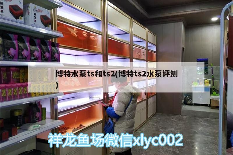 博特水泵ts和ts2(博特ts2水泵評測) 博特水泵ts和ts2(博特ts2水泵評測) 博特水族