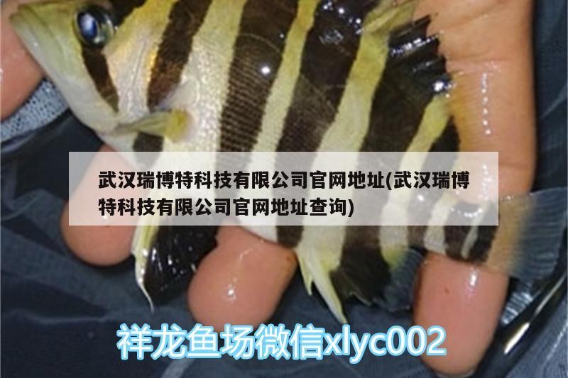 武漢瑞博特科技有限公司官網(wǎng)地址(武漢瑞博特科技有限公司官網(wǎng)地址查詢) 武漢瑞博特科技有限公司官網(wǎng)地址(武漢瑞博特科技有限公司官網(wǎng)地址查詢) 博特水族