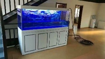 大型魚缸清洗設備：大型魚缸清洗設備和方法大型魚缸清洗設備和方法