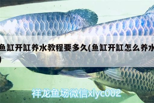 魚缸開缸養水教程要多久(魚缸開缸怎么養水)