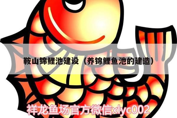 鞍山錦鯉池建設（養錦鯉魚池的建造）