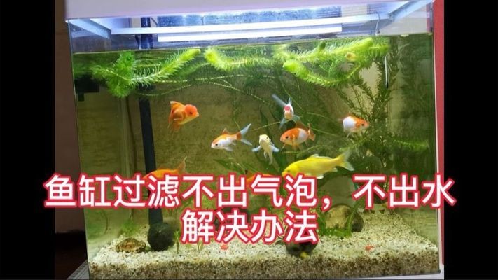 阿拉爾市好多漁水族館（阿拉爾市好多漁水族館在哪）
