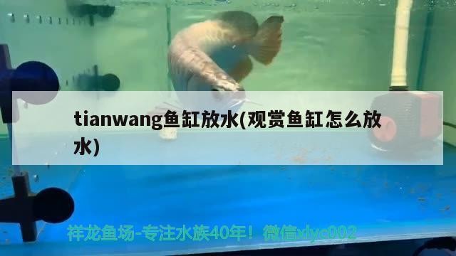 tianwang魚缸放水(觀賞魚缸怎么放水)