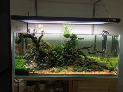 1米2魚缸怎么換水：1米2魚缸怎么換水，1米2魚缸換水的步驟和注意事項