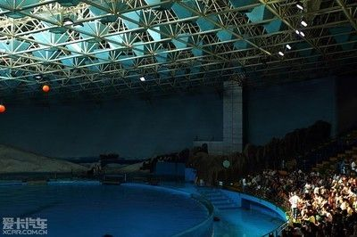 齊齊哈爾水族館vs祥龍魚場（齊齊哈爾水族館——祥龍魚場）