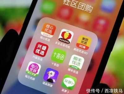 如何觀察BD魟魚健康狀態：bd魟魚的健康狀態需要細致入微的方法和技巧和技巧
