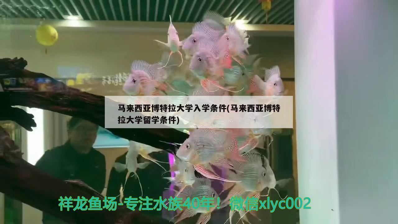 馬來西亞博特拉大學(xué)入學(xué)條件(馬來西亞博特拉大學(xué)留學(xué)條件)