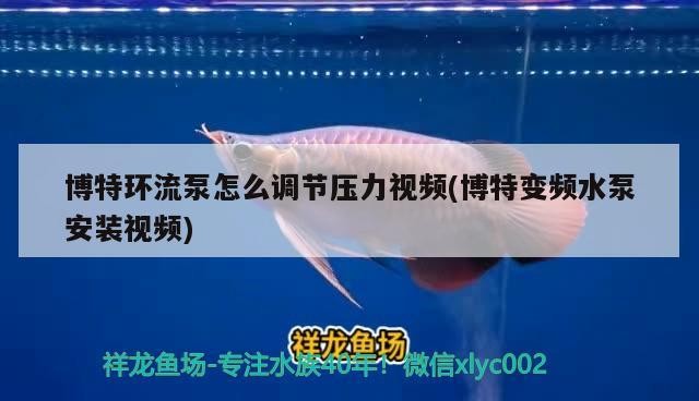 博特環流泵怎么調節壓力視頻(博特變頻水泵安裝視頻)