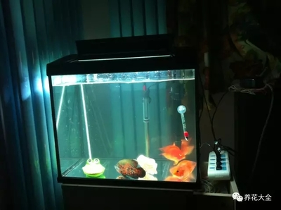 海迪維爾變頻水泵和創寧水泵哪個型號好，創寧水泵哪個好