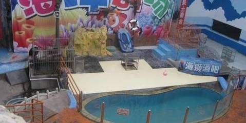 臨汾水族館vs祥龍魚(yú)場(chǎng)（臨汾水族館與祥龍魚(yú)場(chǎng)各有特色） 臨汾水族館vs祥龍魚(yú)場(chǎng)（臨汾水族館與祥龍魚(yú)場(chǎng)各有特色） 全國(guó)水族館企業(yè)名錄 第4張