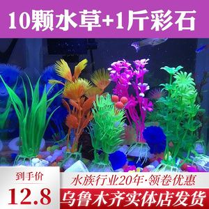 羅漢魚的飼養方法，羅漢魚、紅龍魚、紅龍魚、紅龍魚、紅龍魚、紅龍、紅龍